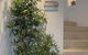 Whitewater Beach House - thumb 3