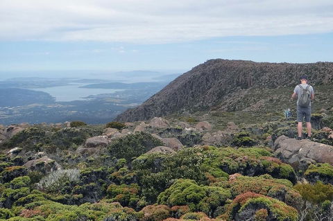 Kunanyi/Mt Wellington Explorer Bus - One Way Tour - Taree Accommodation 0