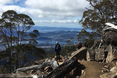 Kunanyi/Mt Wellington Explorer Bus - One Way Tour - Taree Accommodation 2