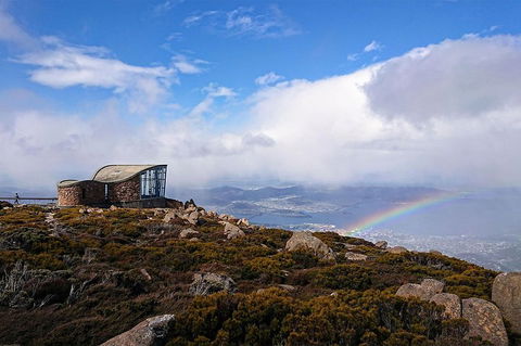 Kunanyi/Mt Wellington Explorer Bus - One Way Tour - Taree Accommodation 3