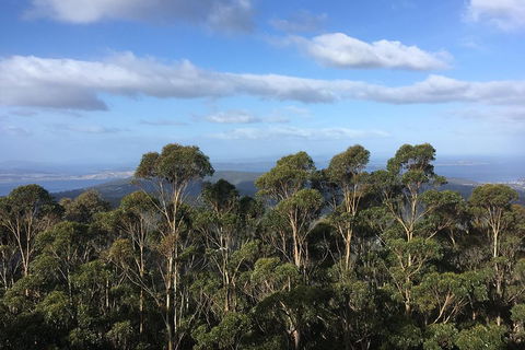 Kunanyi/Mt Wellington Explorer Bus - One Way Tour - Taree Accommodation 5
