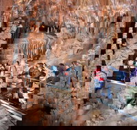 Private Tour Jenolan Caves  Blue Mountains in a day - Taree Accommodation