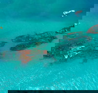 Private Tangalooma Wrecks Tour - Taree Accommodation