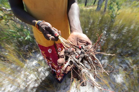 Gay-Wu Woman's 5 Day Yolngu Homeland Tour - Taree Accommodation 0