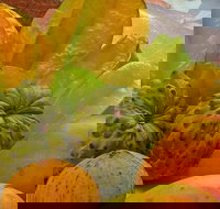 Private Half Day Tour Exclusive World Heritage Rainforest and Waterfall Tour from Cairns - Taree Accommodation