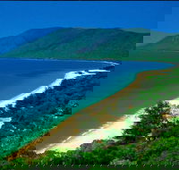 Cairns Reef and Rainforest Combo Daintree Rainforest and the Great Barrier Reef - Taree Accommodation