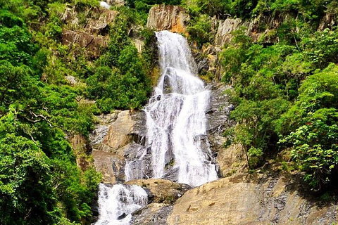 3-Day Small-Group Tour Of North Queensland With Pick Up - Taree Accommodation 1