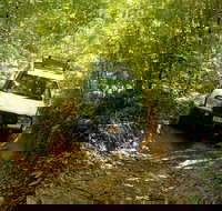 Cairns National Park Rainforest and Waterfall Small Group Tour Shore Excursion - Taree Accommodation