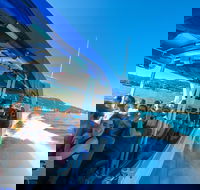 Whitehaven Beach Day Tour with Snorkel in Whitsundays Island - Taree Accommodation