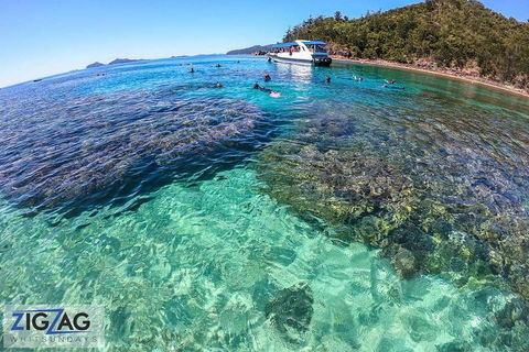 Whitehaven Beach Day Tour With Snorkel In Whitsundays Island - Taree Accommodation 5