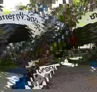 Kuranda Day Trip from Port Douglas upgrade to Skyrail  Scenic train available - Taree Accommodation