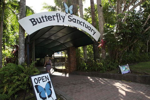 Kuranda Day Trip From Port Douglas Upgrade To Skyrail & Scenic Train Available - Taree Accommodation 0