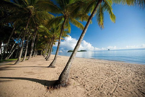 Kuranda Day Trip From Port Douglas Upgrade To Skyrail & Scenic Train Available - Taree Accommodation 1