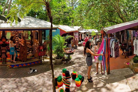 Kuranda Day Trip From Port Douglas Upgrade To Skyrail & Scenic Train Available - Taree Accommodation 2