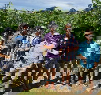 Adelaide Hills and Hahndorf - Half Day Private Tour - Taree Accommodation