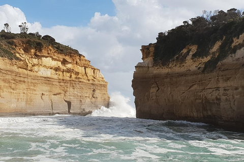 12 Apostles Tour From Warrnambool - Taree Accommodation 2
