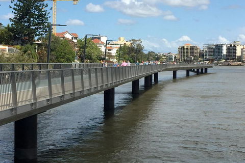 Brisbane City Highlights With Lone Pine! - Taree Accommodation 1
