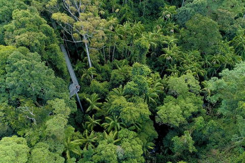 Natural Bridge, Skywalk And Mt Tamborine Adventure! - Taree Accommodation 2