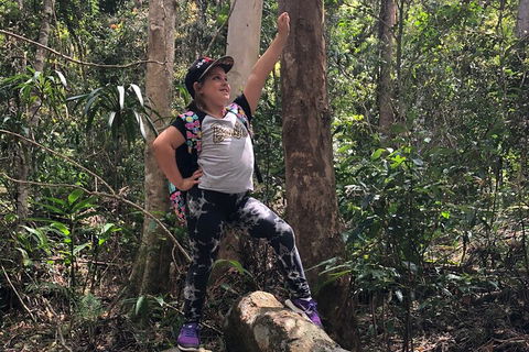 Natural Bridge, Skywalk And Mt Tamborine Adventure! - Taree Accommodation 3
