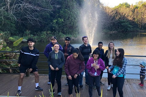 Natural Bridge, Skywalk And Mt Tamborine Adventure! - Taree Accommodation 4