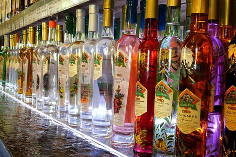 Bar & Brewery Tour - Taree Accommodation 4