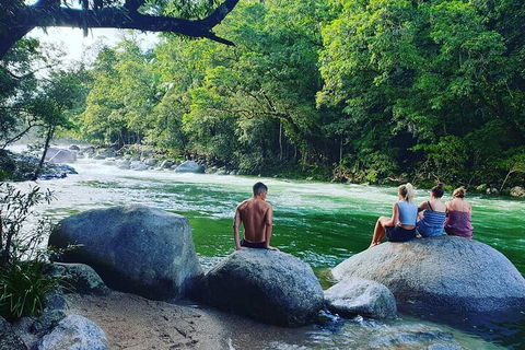 Afternoon Half-Day Daintree Rainforest And River Tour - Taree Accommodation 0