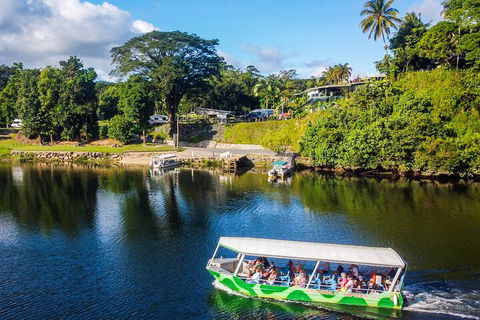 Afternoon Half-Day Daintree Rainforest And River Tour - Taree Accommodation 1