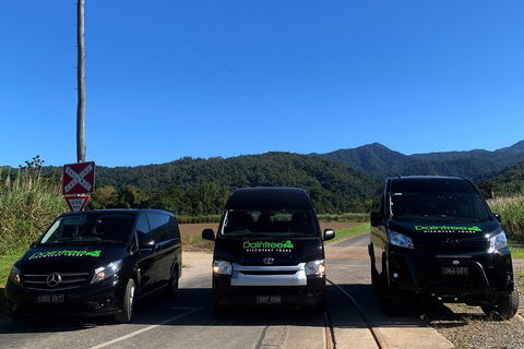 Afternoon Half-Day Daintree Rainforest And River Tour - Taree Accommodation 4