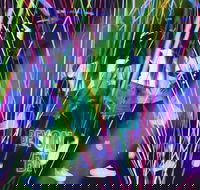 Infinity Attraction - Admission - Taree Accommodation