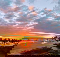 1 Hour Broome Sunset Camel Tour - Taree Accommodation