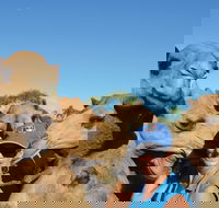 Broome Pre-sunset Camel Tour 30 minutes - Taree Accommodation