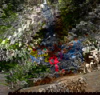 5-Day Lap of Tasmania Tour from Hobart flexible ticket - Taree Accommodation