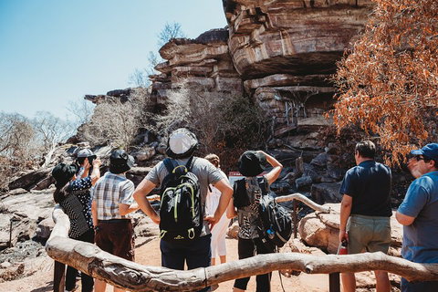 Kakadu Full-Day Tour From Darwin With Lunch - Taree Accommodation 1