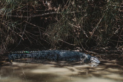 Kakadu Full-Day Tour From Darwin With Lunch - Taree Accommodation 4