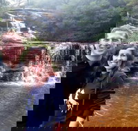 Private Blue Mountains Day Tour including Wildlife Park - Taree Accommodation