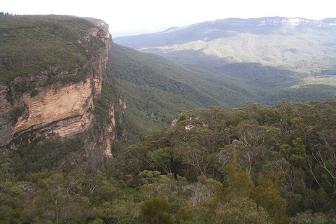 Full-Day Private Blue Mountains Tour With River Cruise - Taree Accommodation 3