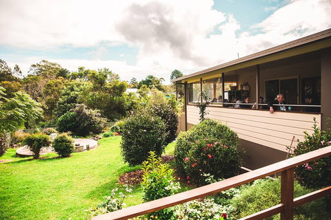 Full-day Springbrook National Park Tour From The Gold Coast - Taree Accommodation 2