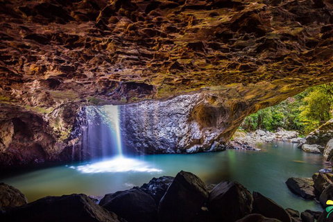 Full-day Springbrook National Park Tour From The Gold Coast - Taree Accommodation 3