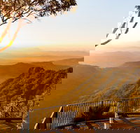 O'Reilly's  Lamington National Park incl. Alpaca Farm  Vineyard - Taree Accommodation