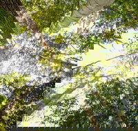 Fraser Island 4WD Tour from Noosa - Taree Accommodation