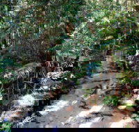 Fraser Island 4WD Tour from Rainbow Beach - Taree Accommodation