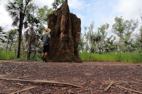 ETHICAL ADVENTURES - Litchfield Region, Max 10 Guests - Taree Accommodation 3