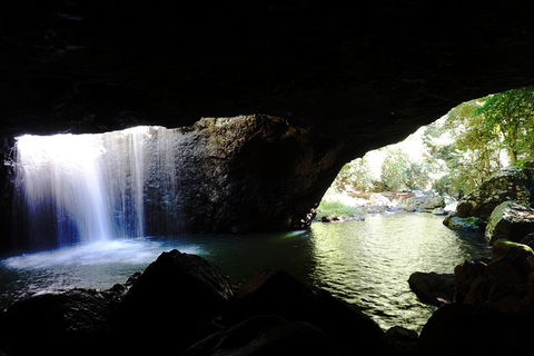 Rainforest & Waterfalls Extravaganza - Taree Accommodation 0