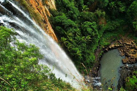 Rainforest & Waterfalls Extravaganza - Taree Accommodation 1
