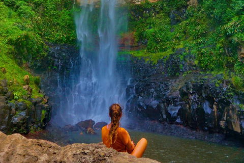 Rainforest & Waterfalls Extravaganza - Taree Accommodation 2