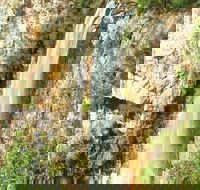 Private Tour - Rainforest  Waterfalls Extravaganza - Taree Accommodation