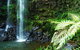Private Tour - Rainforest & Waterfalls Extravaganza - thumb 1