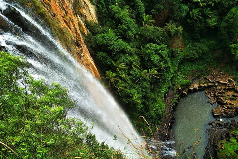 Private Tour - Rainforest & Waterfalls Extravaganza - Taree Accommodation 2