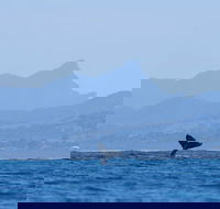 The Byron Bay Sea Kayak Tour - Taree Accommodation