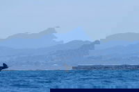 Book Viator Accommodation Vacations Taree Accommodation Taree Accommodation